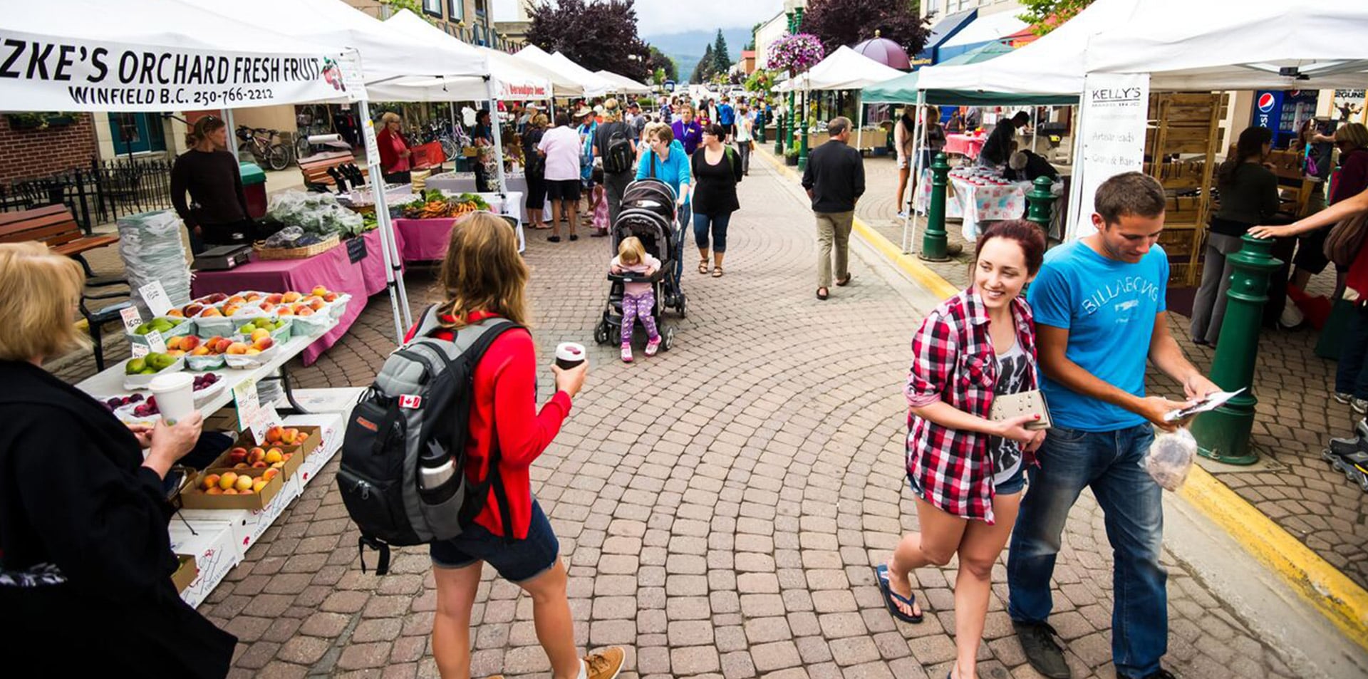 Revelstoke Attractions slider