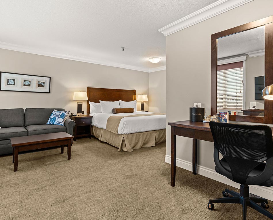 Deluxe King Room (2)