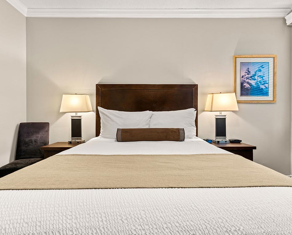 Executive 1 Queen Bed Room (3)